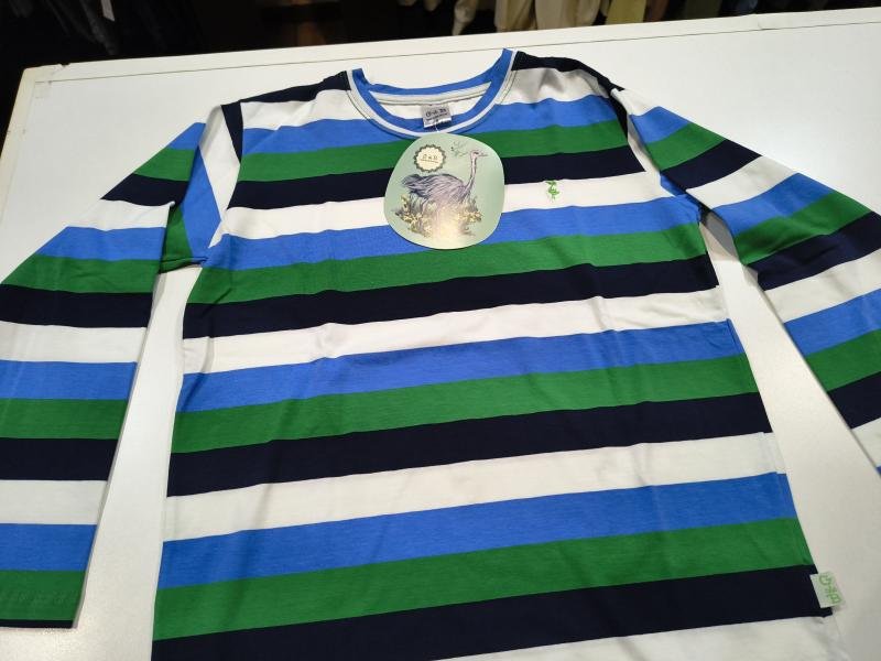 REMERA M/L HUEMUL DE JESREY RAYADA VARON T.08