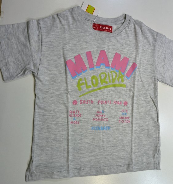 REMERA MIAMI GRIS MELANGE T:04