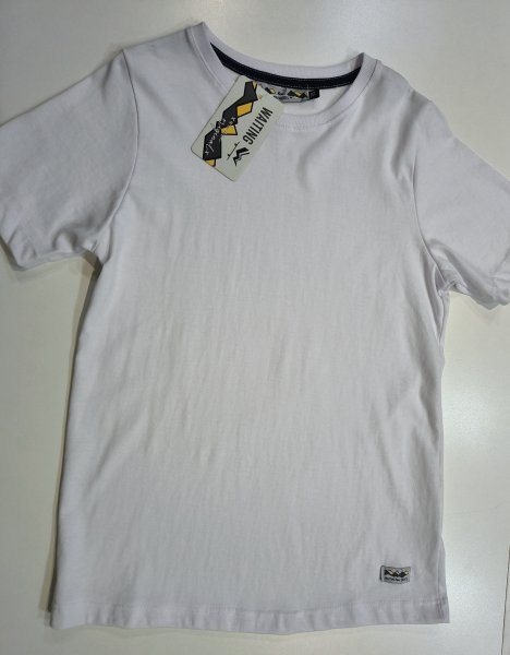 REMERA LISA T.10