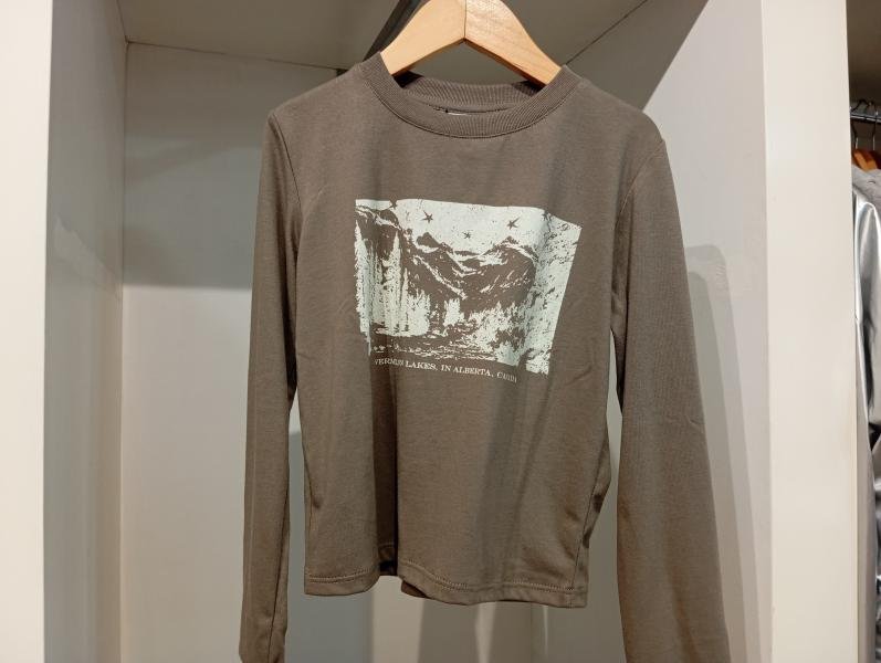REMERA LANDSCAPE M/L T.16